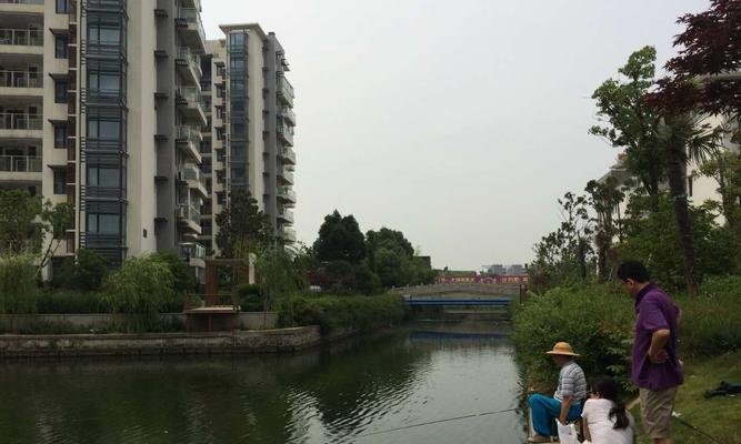泳池钓鱼的技巧与心得（探秘泳池钓鱼）  第3张