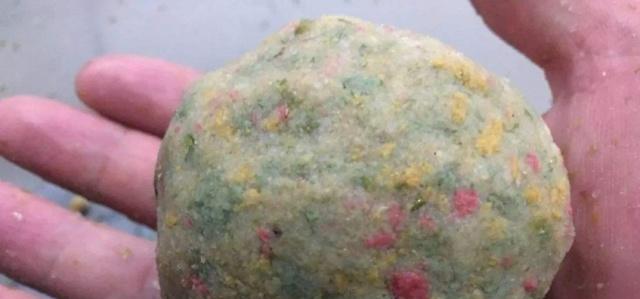 以用大米饭钓鱼技巧（探秘钓鱼利器大米饭的妙用）  第1张