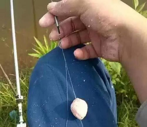 大蒜钓鱼的5个技巧（提升垂钓成功率的关键）  第1张