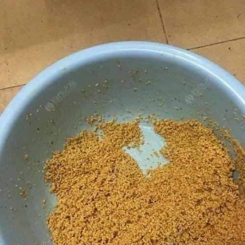 大蒜钓鱼的5个技巧（提升垂钓成功率的关键）  第2张