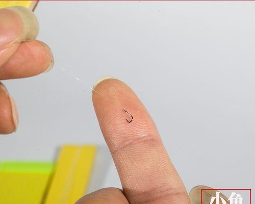 以鱼线双钩钓鱼技巧（提高钓鱼成功率的实用经验）  第2张