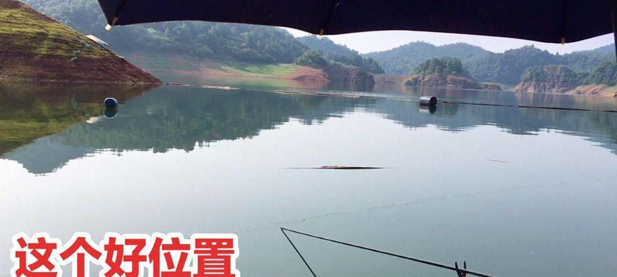 以渔者乐水闷杆钓鱼技巧（掌握钓鱼技巧）  第3张