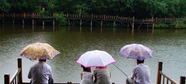 雨后清晨的钓鱼乐趣（掌握技巧轻松收获）  第1张