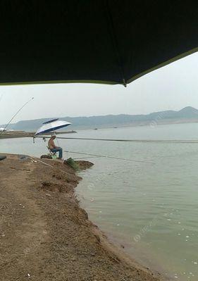 雨前钓鱼技巧大揭秘（掌握关键技巧）  第1张