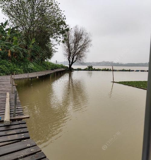 春雨中的钓鱼乐趣（掌握三个小技巧）  第2张
