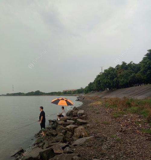 雨天钓鱼野钓技巧（挑战雨中钓鱼的窍门）  第2张