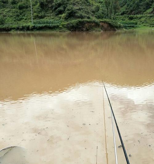 雨天混水钓鱼技巧（雨天钓鱼的经验和技巧）  第1张