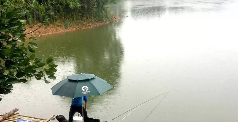 雨天钓鱼技巧（掌握天气变化）  第2张