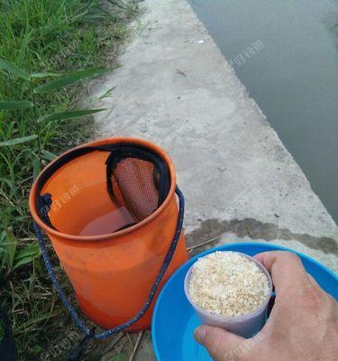 雨天桥下钓鱼技巧（探秘雨天桥下钓鱼窍门）  第2张