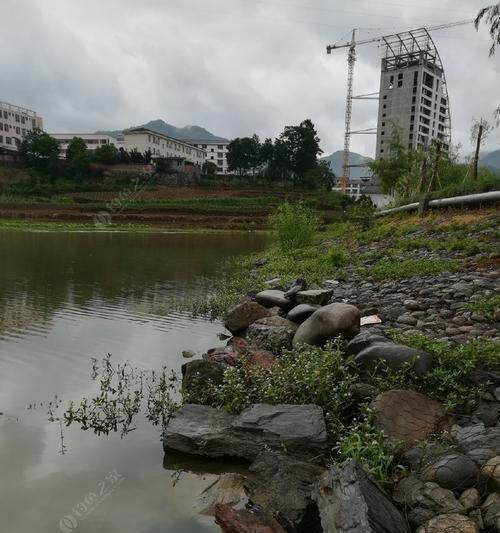 雨天桥下钓鱼技巧（探秘雨天桥下钓鱼窍门）  第1张