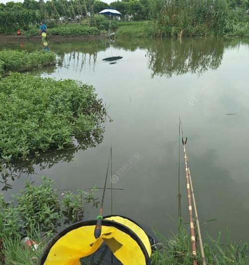 雨天有风钓鱼的技巧与方法（提高钓鱼成功率的关键诀窍）  第1张