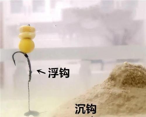 玉米钓浮的正确方法与技巧（轻松掌握玉米钓浮的诀窍）  第1张
