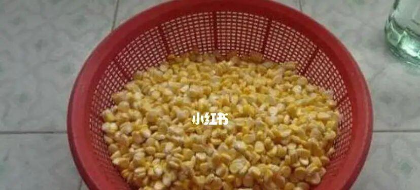 玉米钓鱼技巧大全（提高钓鱼成功率的玉米应用技巧）  第2张