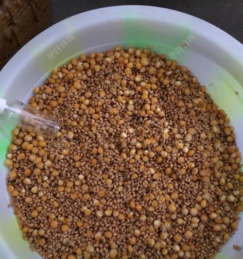 串钩挂玉米粒钓鱼的技巧（提升钓鱼成功率）  第1张
