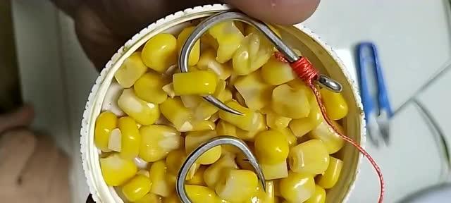 玉米粒钓鱼技巧大揭秘（提升钓鱼成功率）  第3张