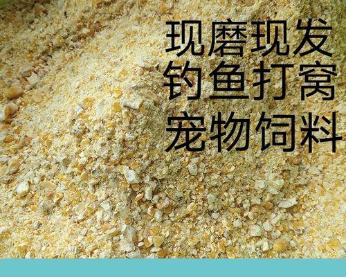 春天玉米面钓鱼技巧（教你如何利用春天玉米面钓到丰富的鱼类）  第1张