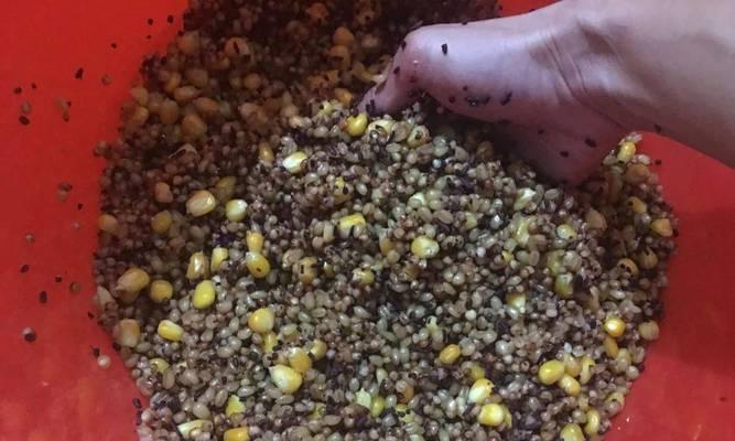 玉米面饵料钓鱼技巧（提高钓鱼效果的秘诀与经验分享）  第3张