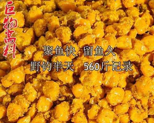 玉米下竿钓鱼技巧（掌握这些技巧）  第1张