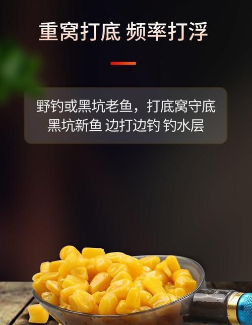 玉米野钓鲤鱼的技巧与方法（玉米作为鲤鱼诱饵的最佳选择）  第2张