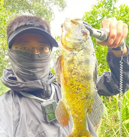 原始钓鱼技巧教学（掌握古老技艺）  第2张