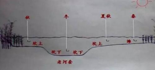 探秘远抛竿钓燕鱼的技巧（远抛竿钓燕鱼）  第1张