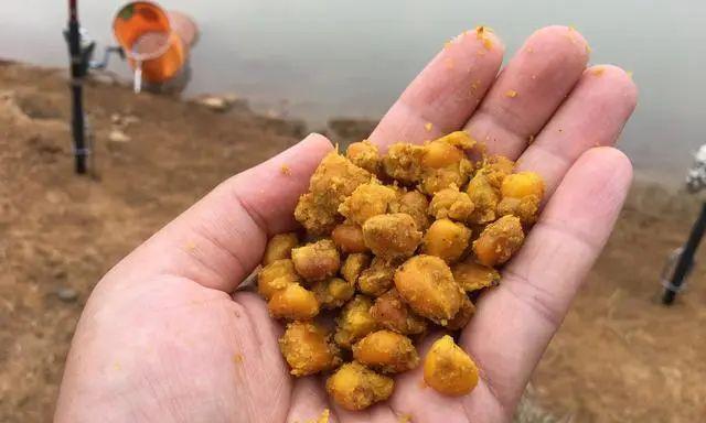 玉米面钓鱼技巧（以蒸熟玉米面为鱼饵的钓鱼技巧）  第2张