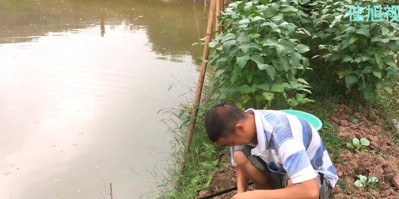 正方形鱼池钓鱼技巧（打造理想钓鱼环境的关键要素）  第2张