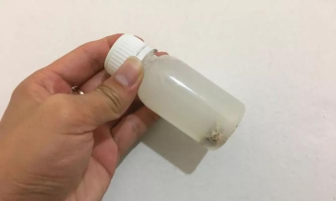 丁香钓鱼技巧——掌握高效捕鱼方法（乐享钓鱼乐趣）  第3张