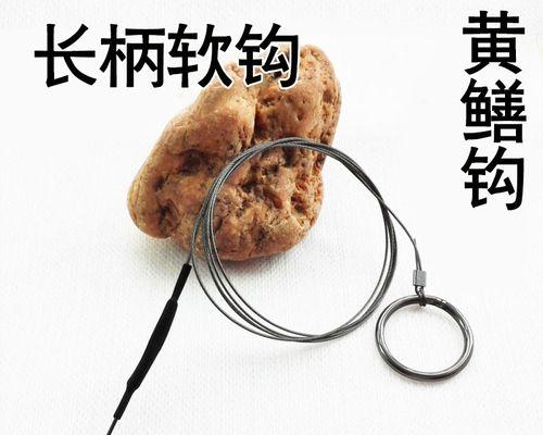 中钩钓鱼的技巧与方法（提高钓鱼效果的实用技巧和经验分享）  第3张