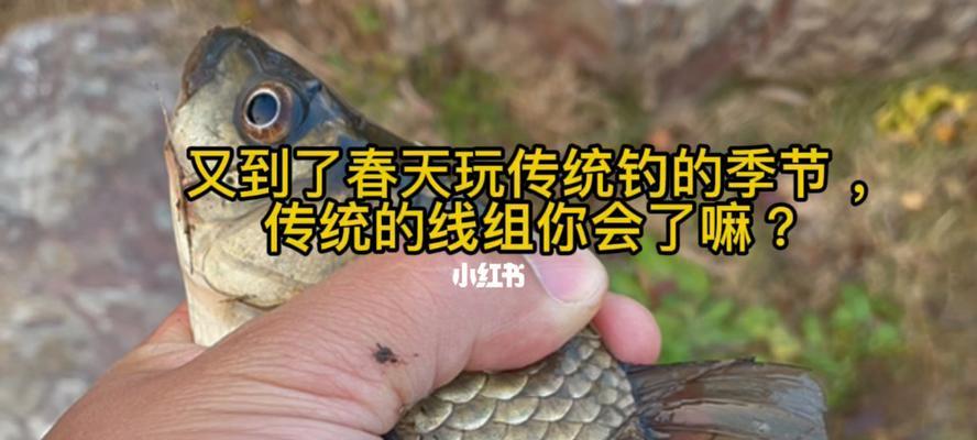 中午钩钓鱼技巧（掌握正确技巧）  第3张