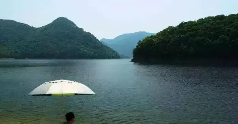 仲秋早晨钓鱼技巧（掌握黄金时段）  第3张