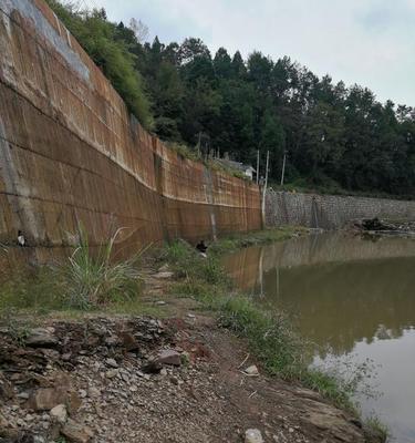 重庆野河钓鱼技巧地点（重庆野河钓鱼的秘密武器）  第3张