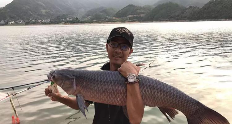 重窝钓鱼绝密技巧（掌握这一关键技巧）  第1张