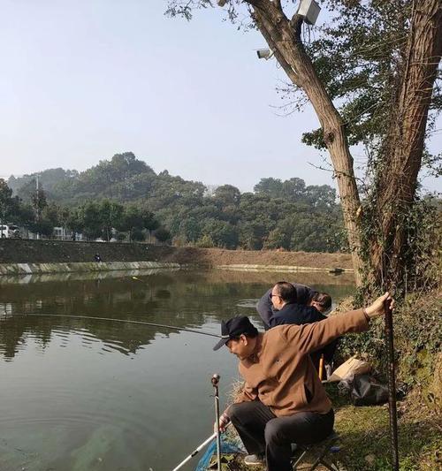 重阳节前钓鱼技巧（技巧分享）  第3张