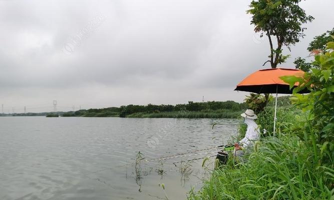 江湖钓鱼技巧大揭秘（重装上阵）  第3张