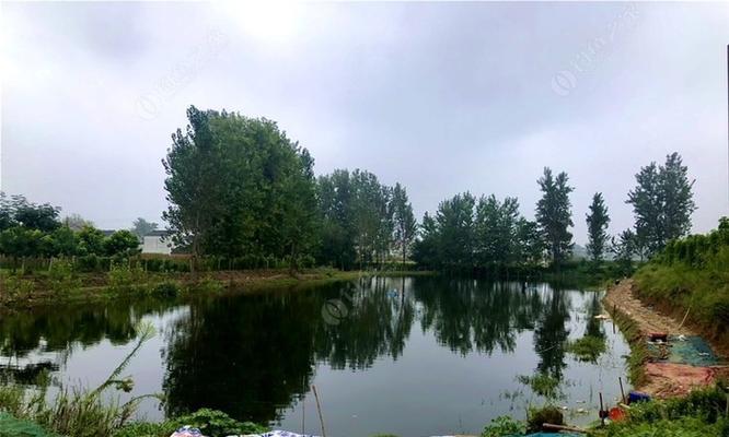 周口钓鱼野钓技巧（掌握周口钓鱼的窍门）  第1张