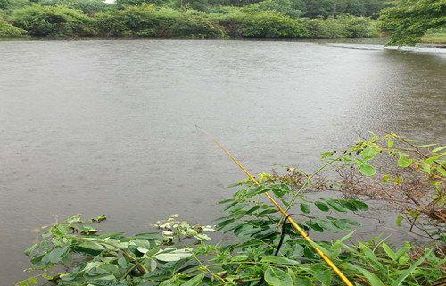 周口钓鱼野钓技巧（掌握周口钓鱼的窍门）  第2张