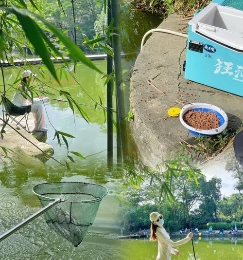 周末学钓鱼技巧与方法（钓鱼新手的必备指南）  第2张