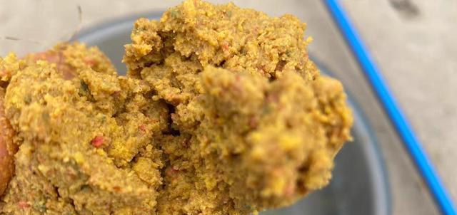 珠江钓鱼技巧——玉米的妙用（以珠江为例）  第3张