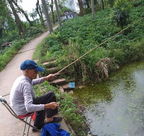 以竹竿挂蚯蚓钓鱼的技巧（掌握钓鱼技巧）  第1张