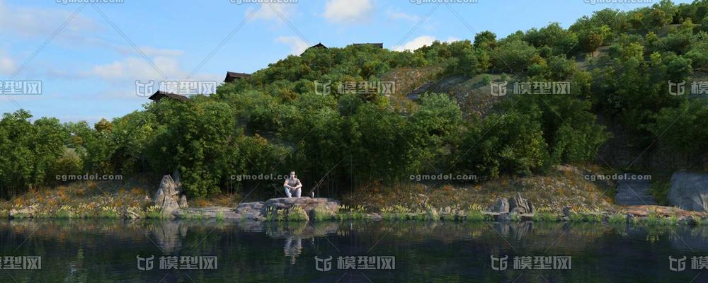 竹林钓鱼技巧大全（钓鱼新手必备）  第2张