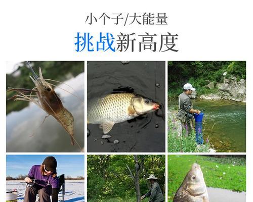 冰钓提鱼技巧教程？如何提高冰钓的提鱼成功率？  第3张