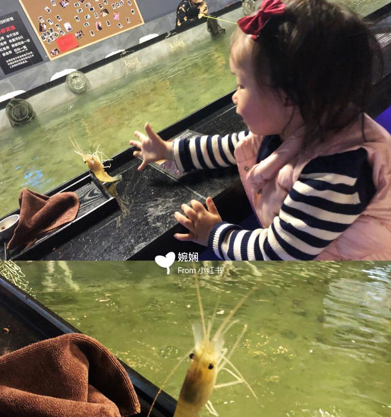 冰鲜河虾钓鱼技巧有哪些？如何提高钓获率？  第3张