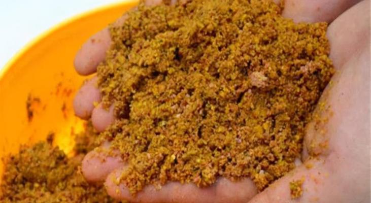不用打窝钓鱼技巧有哪些？如何提高钓鱼效率？  第1张