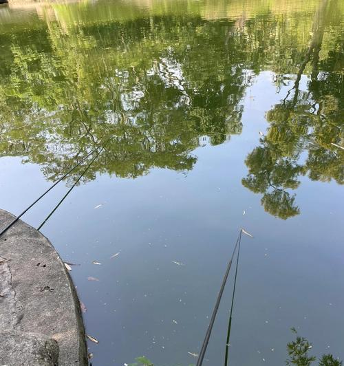 不用鱼食钓鱼技巧有哪些？如何提高钓鱼成功率？  第2张