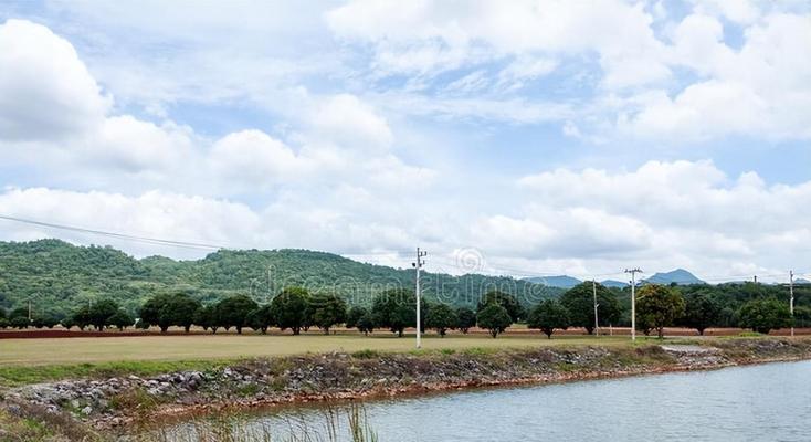 采石场水坑钓鱼技巧有哪些？如何提高钓鱼成功率？  第2张