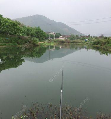 菜地传统钓鱼方法与技巧有哪些？如何提高钓鱼成功率？  第3张