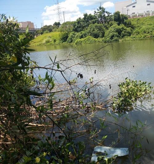 菜地小河沟钓鱼技巧有哪些？如何提高钓鱼成功率？  第3张