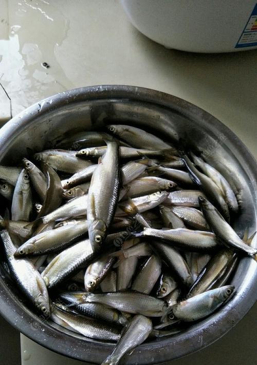 蚕虫钓鱼技巧教程？如何提高钓鱼成功率？  第3张