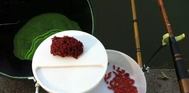 蚕豆做钓鱼饵料方法有哪些？如何使用蚕豆提高钓鱼效率？  第3张